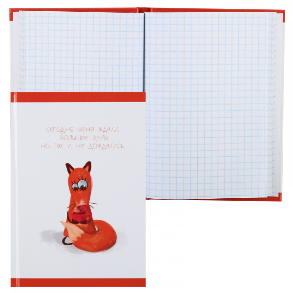 Записная книга А6 64л.кл. Фокся глянц.лам.