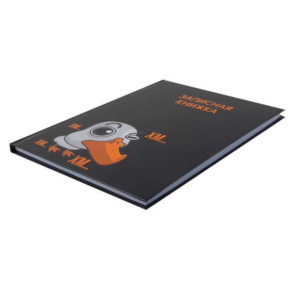 Записная книга А5 80л.кл. Гусь Гагарик глянц.лам.