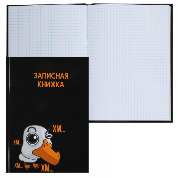 Записная книга А5 80л.кл. Гусь Гагарик глянц.лам.