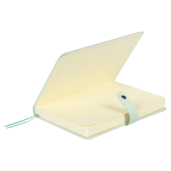 Ежедневник А5 н/д тв обл 7Бц  к/з 168л Fresh тонир 2 ляссе зеленый Ежедневник А5 н/д тв обл 7Бц  к/з 168л Fresh тонир 2 ляссе зеленый