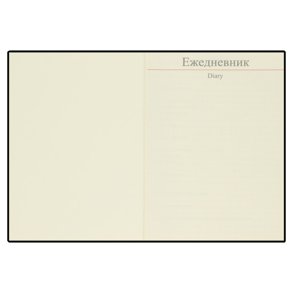 Ежедневник А5 н/д тв обл 7Бц к/з 168л IIIusion тонир 2 ляссе черный