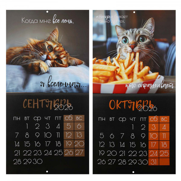 Календарь перекидной настен. 2026 Кошачья жизнь, скоба Календарь перекидной настен. 2026 Кошачья жизнь, скоба