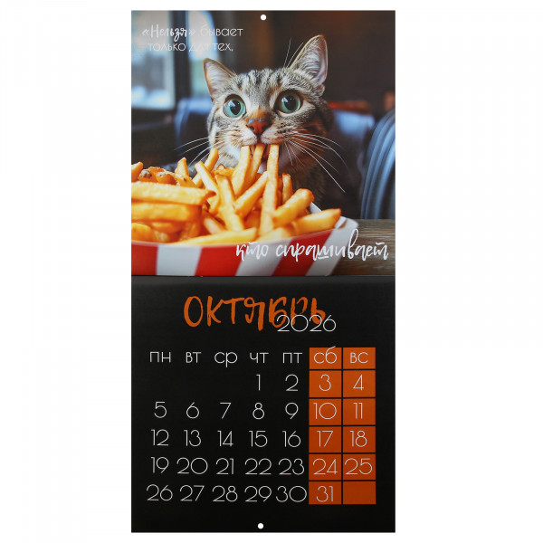 Календарь перекидной настен. 2026 Кошачья жизнь, скоба Календарь перекидной настен. 2026 Кошачья жизнь, скоба