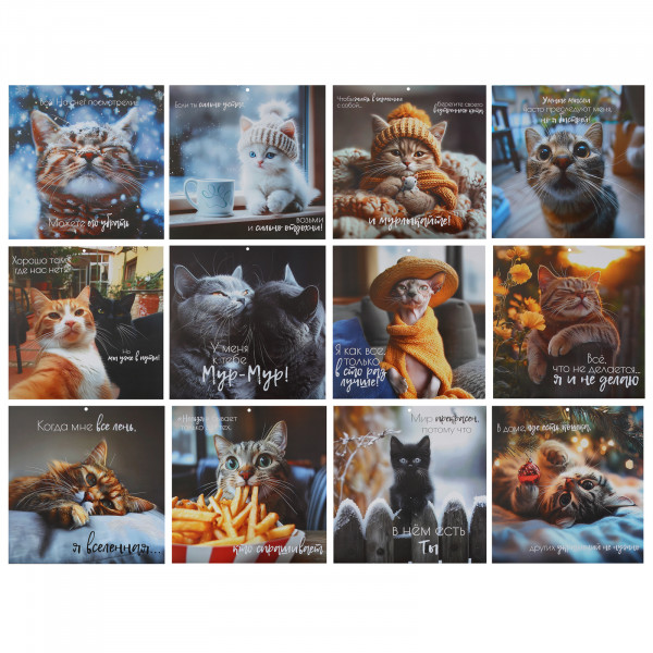 Календарь перекидной настен. 2026 Кошачья жизнь, скоба Календарь перекидной настен. 2026 Кошачья жизнь, скоба