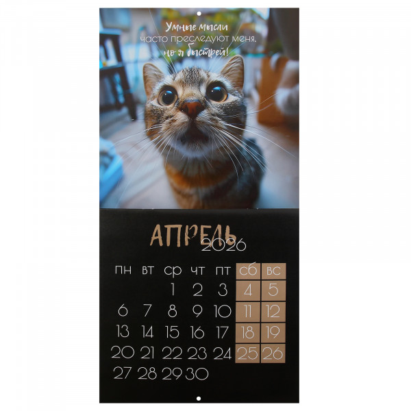 Календарь перекидной настен. 2026 Кошачья жизнь, скоба Календарь перекидной настен. 2026 Кошачья жизнь, скоба