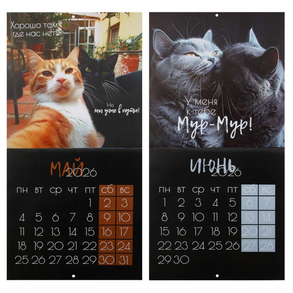 Календарь перекидной настен. 2026 Кошачья жизнь, скоба Календарь перекидной настен. 2026 Кошачья жизнь, скоба