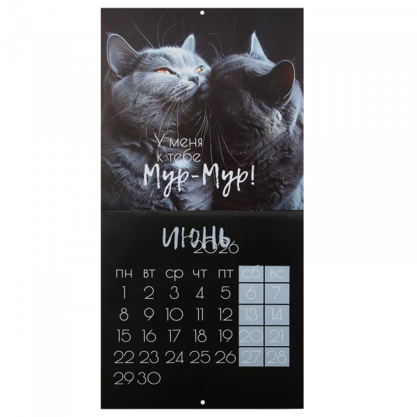 Календарь перекидной настен. 2026 Кошачья жизнь, скоба Календарь перекидной настен. 2026 Кошачья жизнь, скоба
