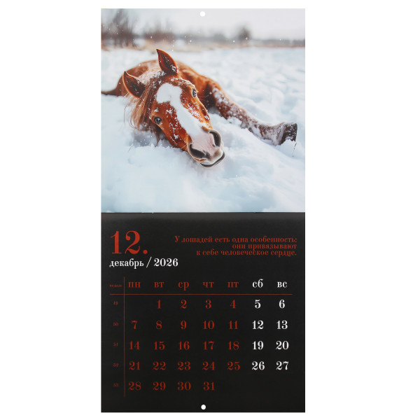 Календарь перекидной настен. 2026 Год лошади, скоба