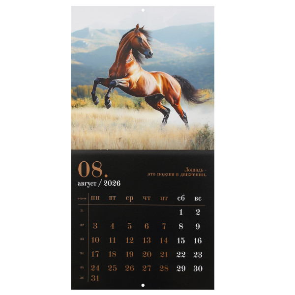 Календарь перекидной настен. 2026 Год лошади, скоба