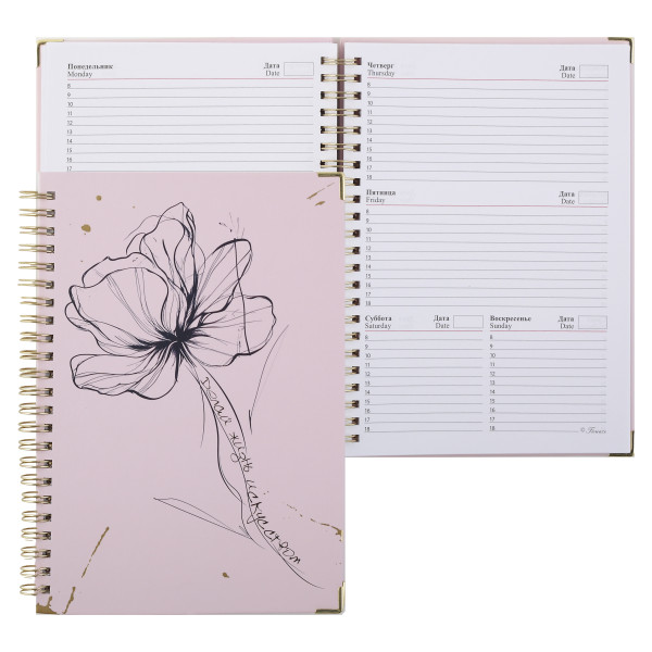 Еженедельник (планинг) А5 недат. тв.обл. картон 7Бц 73л Делай жизнь искусством