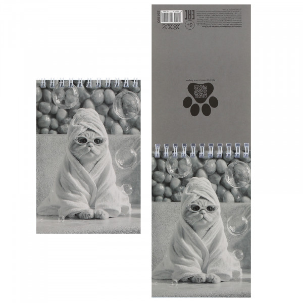 Блокнот А6 40л.кл. "Коты" мягк.обл, спираль, ассорти