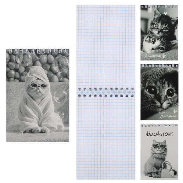 Блокнот А6 40л.кл. "Коты" мягк.обл, спираль, ассорти