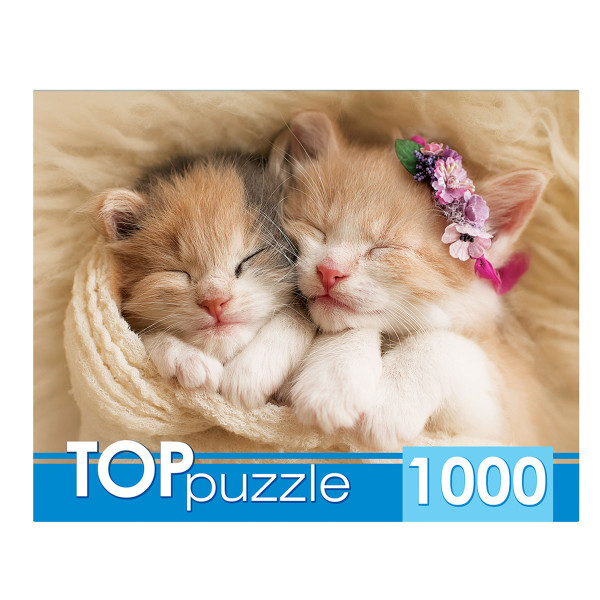 Пазлы 1000 TOPpuzzle.Два спящих котенка