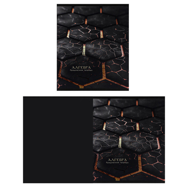 Комплект предмет тетрадей 48л 12шт Проф-Пресс 48-2718 BLACK&GOLD