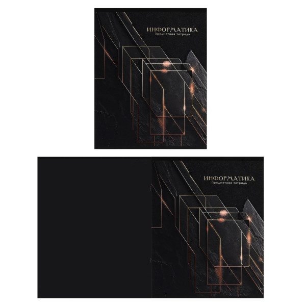 Комплект предмет тетрадей 48л 12шт Проф-Пресс 48-2718 BLACK&GOLD