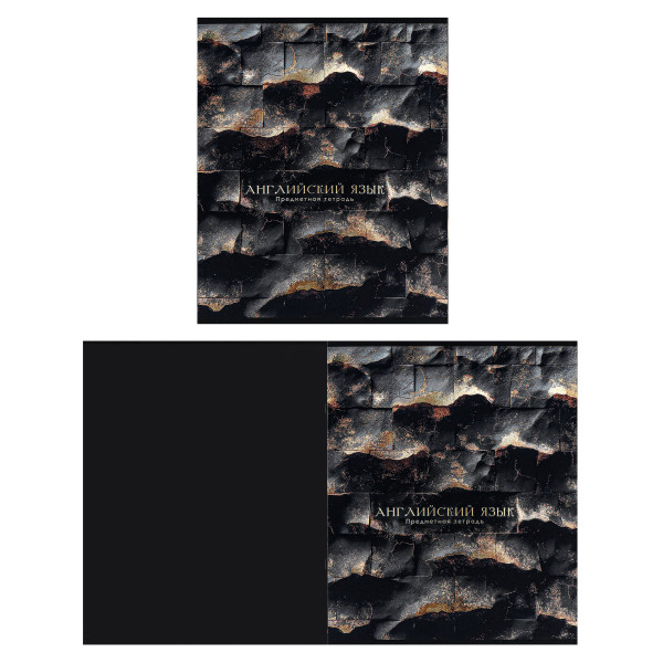 Комплект предмет тетрадей 48л 12шт Проф-Пресс 48-2718 BLACK&GOLD
