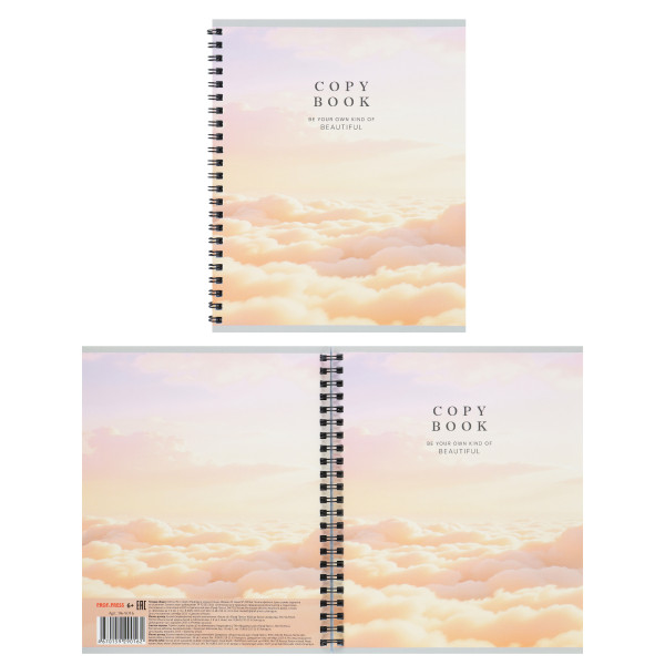Тетрадь 96л кл. Природа в нежных тонах, Стандарт, греб.