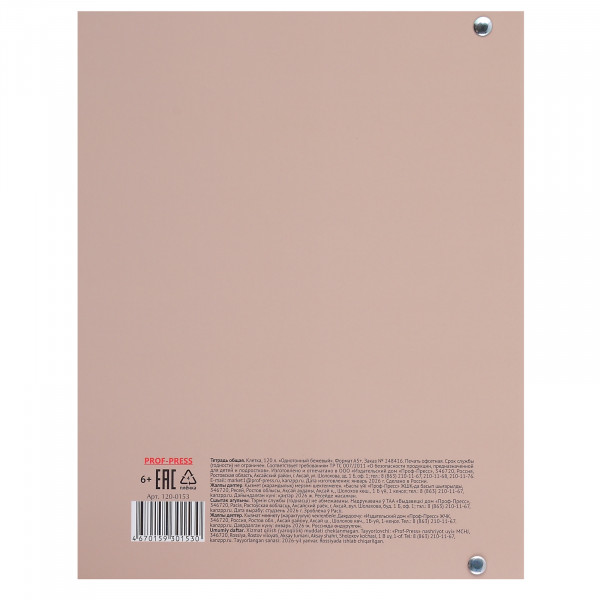 Тетрадь на кольцах 120л Проф-Пресс 120-0153 Однотонный бежевый