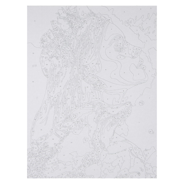 Картина по номерам на картоне "Лисий дух" 28,5*38см