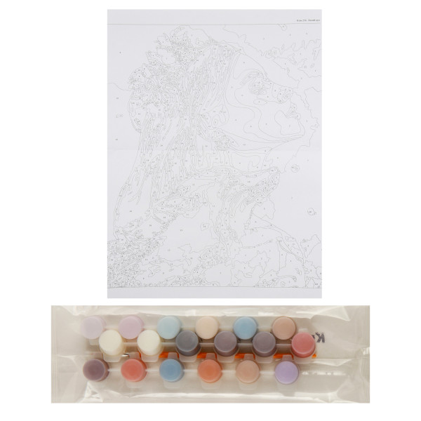 Картина по номерам на картоне "Лисий дух" 28,5*38см