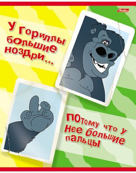 Тетрадь 48л кл HATBER 48Т5В1 Приколы-16