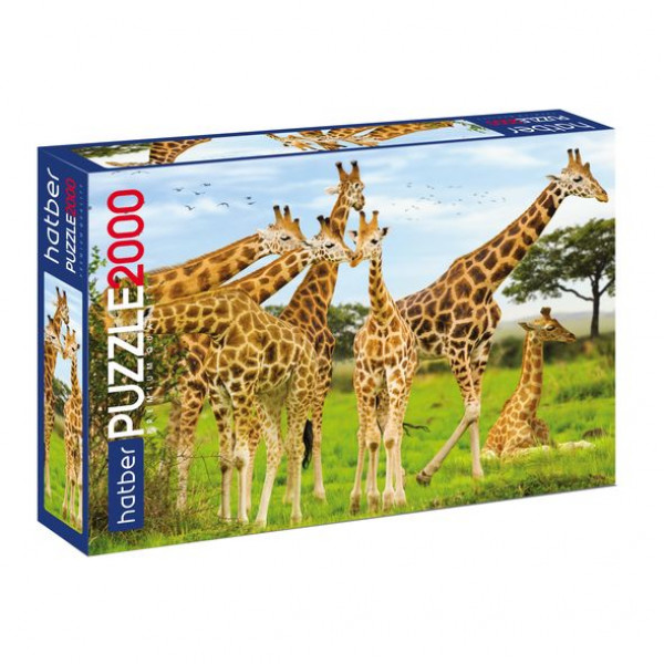 Пазлы-игра 2000 эл. А1 "Premium" Жирафы